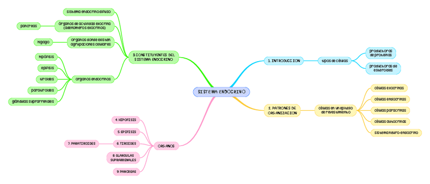 Miniatura del documento ESQUEMA-SISTEMA-ENDOCRINO.pdf