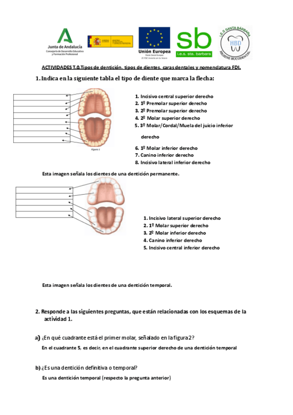 Miniatura del documento Tipos-de-denticion-tipos-de-dientes-caras-dentales-y-nomenclatura-FDI.pdf