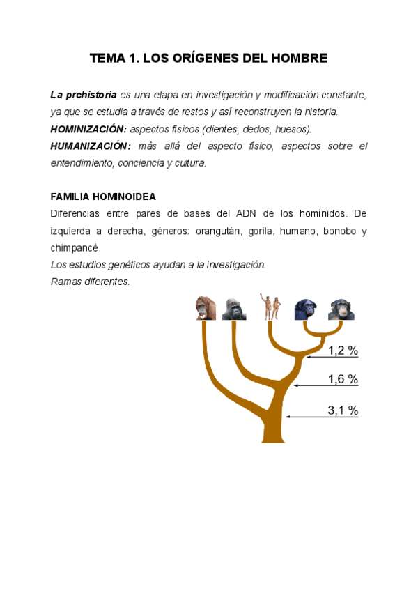 Miniatura del documento Tema 1. PREHISTORIA C.SOCIALES.pdf