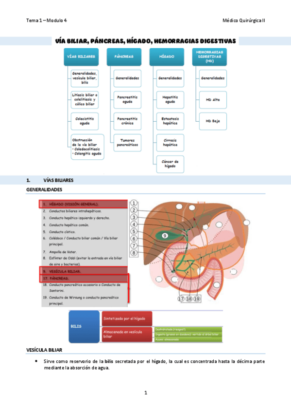 Miniatura del documento TEMA-04Via-biliar-pancreas-higado.pdf