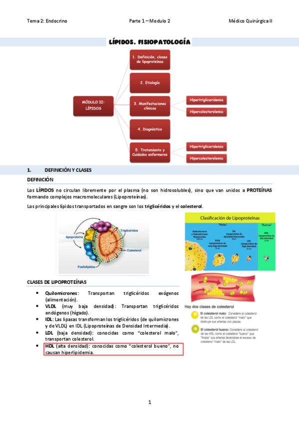 Miniatura del documento TEMA-07Lipidos.pdf