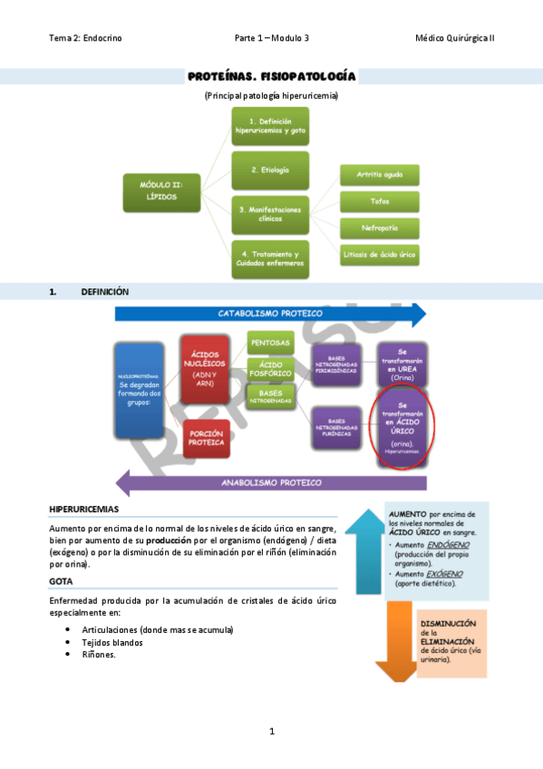 Miniatura del documento TEMA-08Proteinas.pdf