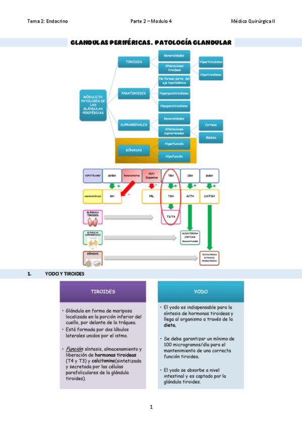 Miniatura del documento TEMA-12Patologia-de-las-glandulas-perifericas.pdf