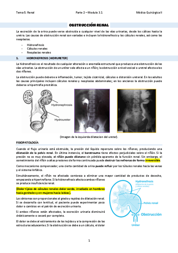 Miniatura del documento TEMA-30Obstruccion-renal.pdf