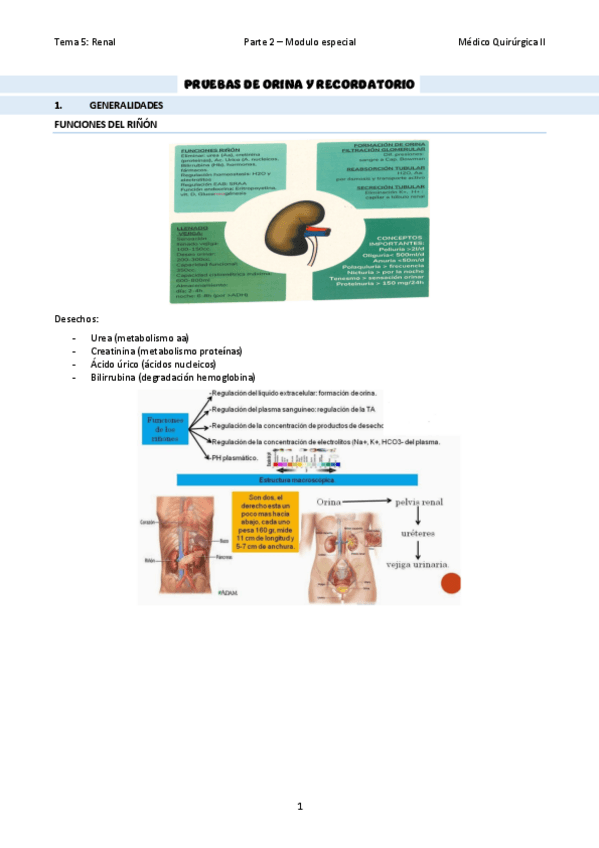 Miniatura del documento TEMA-32Pruebas-de-orina-y-generalidades.pdf