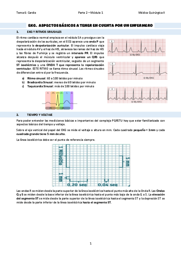 Miniatura del documento TEMA-36EKG.pdf