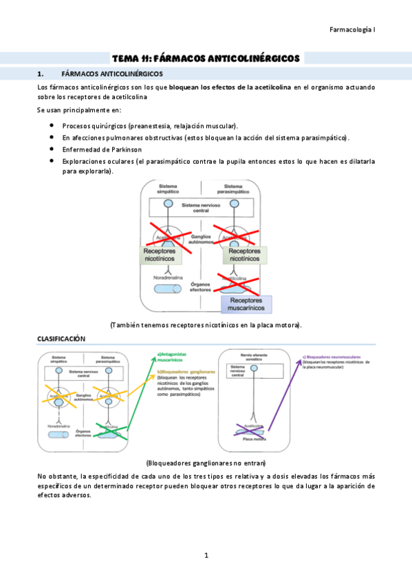 Miniatura del documento TEMA-11-farmacos-anticolinergicos.pdf