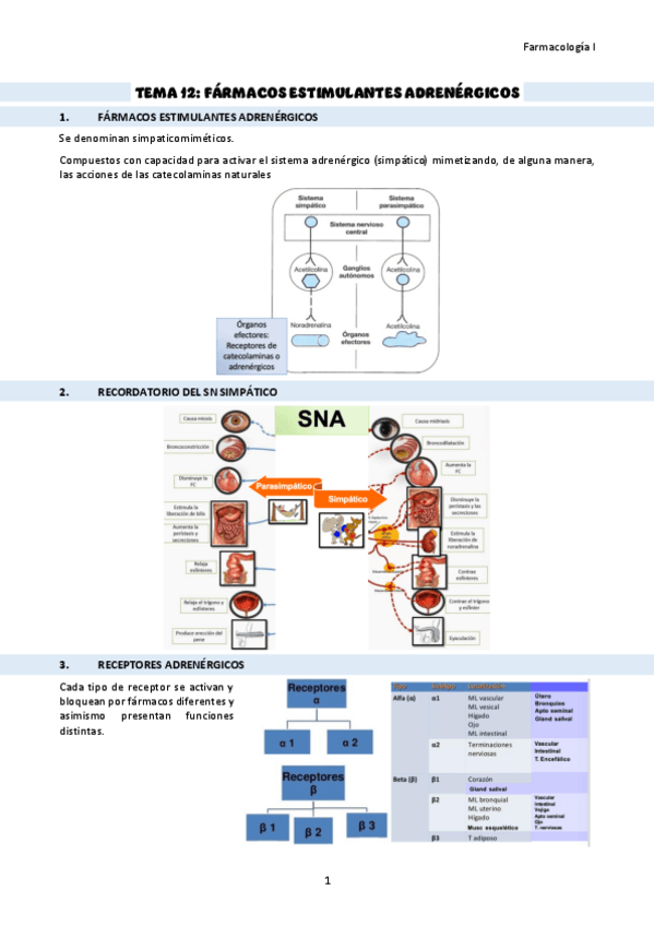 Miniatura del documento TEMA-12-farmacos-estimulantes-adrenergicos.pdf