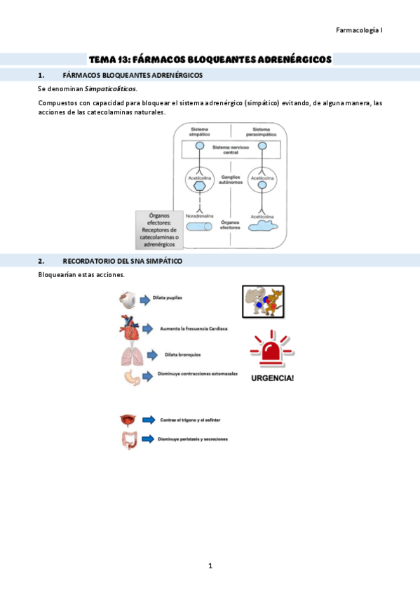 Miniatura del documento TEMA-13-farmacos-bloqueantes-adrenergicos.pdf