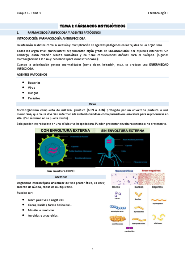 Miniatura del documento TEMA-1Farmacos-antibioticos.pdf