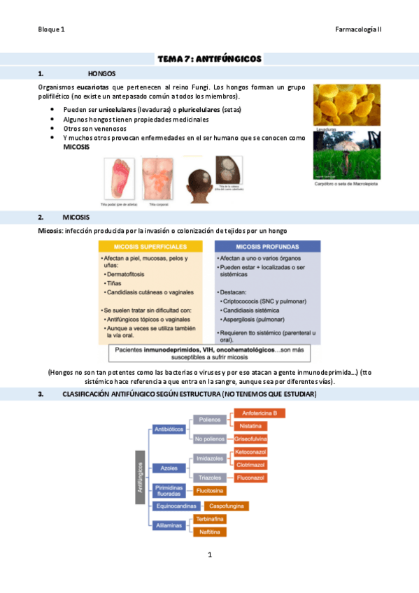 Miniatura del documento TEMA-7Antifungicos.pdf