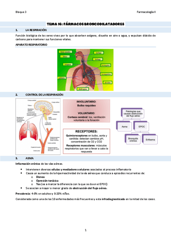 Miniatura del documento TEMA-16Broncodilatadores.pdf