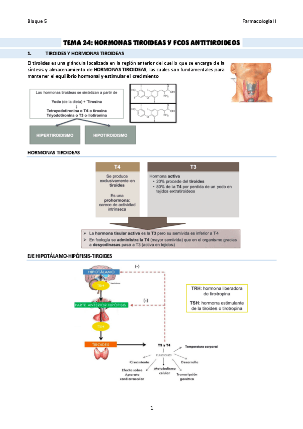Miniatura del documento TEMA-24Hormonas-tiroideas-y-fcos-antitiroideos.pdf