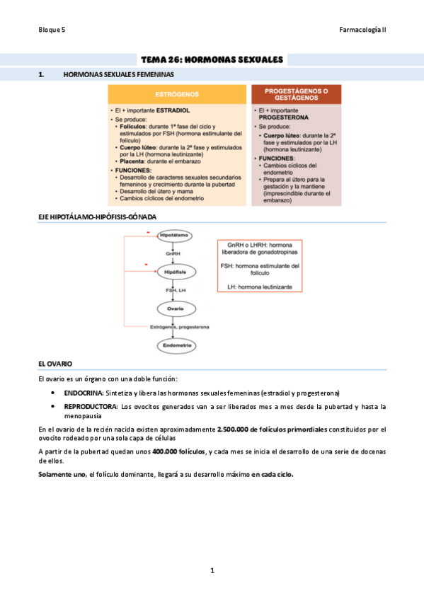 Miniatura del documento TEMA-26Hormonas-sexuales.pdf
