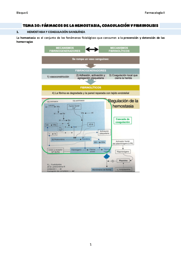 Miniatura del documento TEMA-30Hemostasia-coagulacion-y-fibrinolisis.pdf