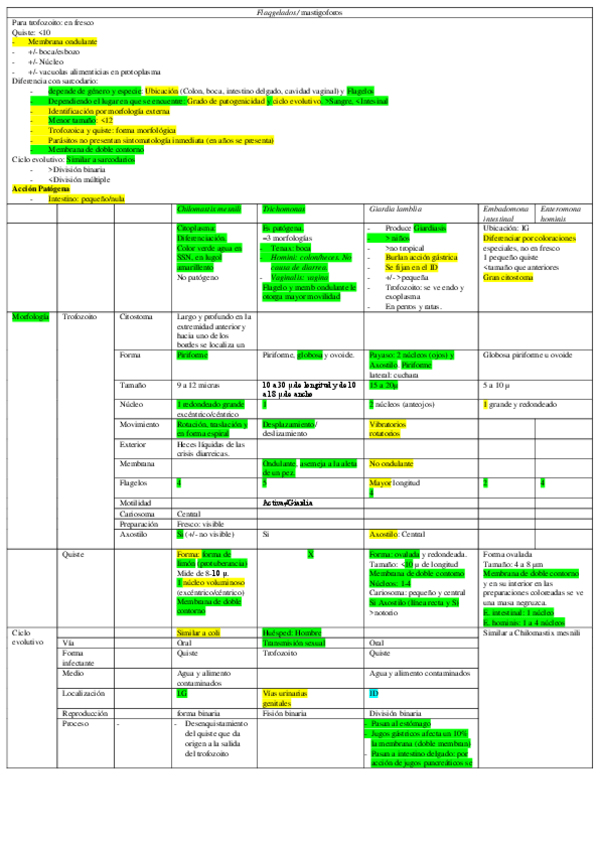 Miniatura del documento 2.0-Flagelados.pdf