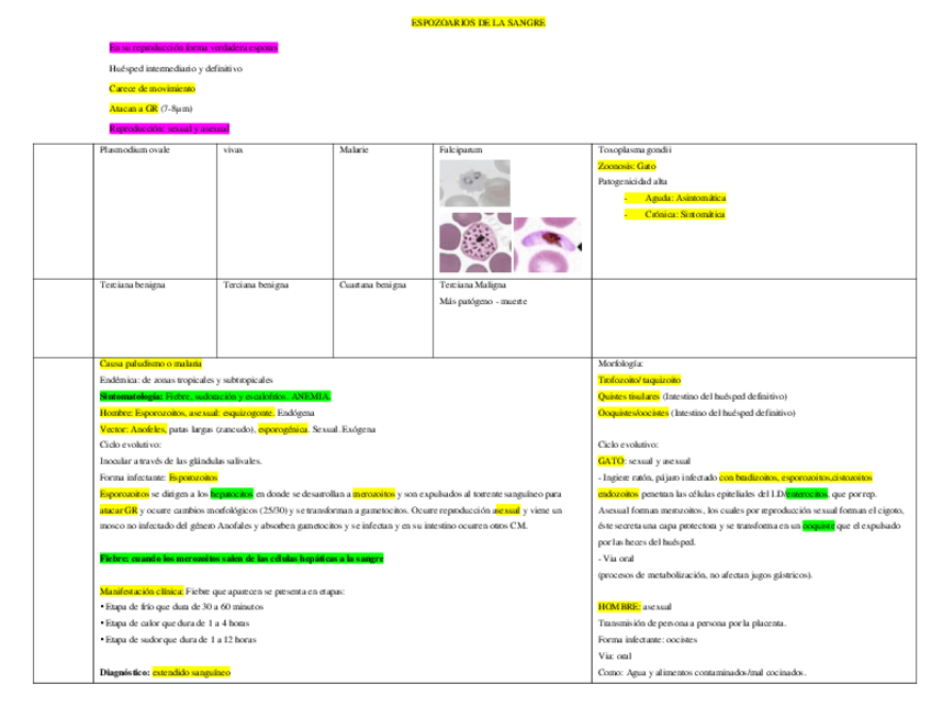 Miniatura del documento 5.-Esporozoarios-de-la-sangre.pdf