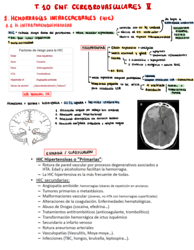 Miniatura del documento T.-10.pdf