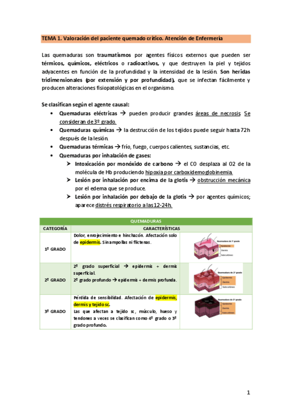 Miniatura del documento TEMA-1.4.-Quemado.pdf