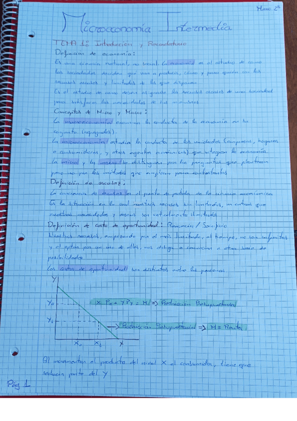 Miniatura del documento Microeconomia-Tema-1.pdf