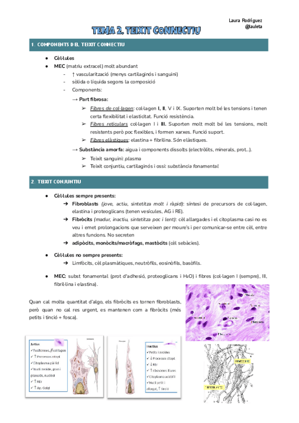 Miniatura del documento Tema-2-histologia.pdf