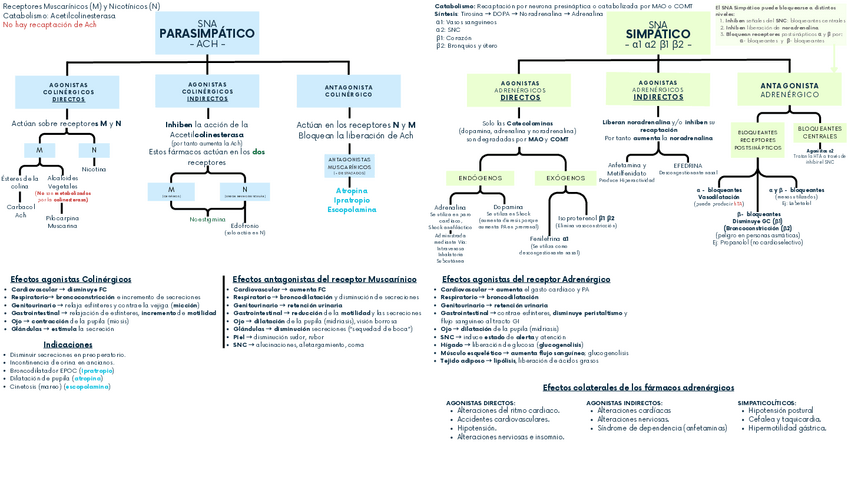 Miniatura del documento Tema-3-Farmacologia-SNA.pdf