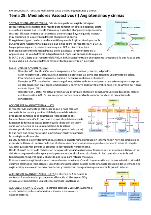 Miniatura del documento Tema-29-Mediadores-vasoactivos.pdf