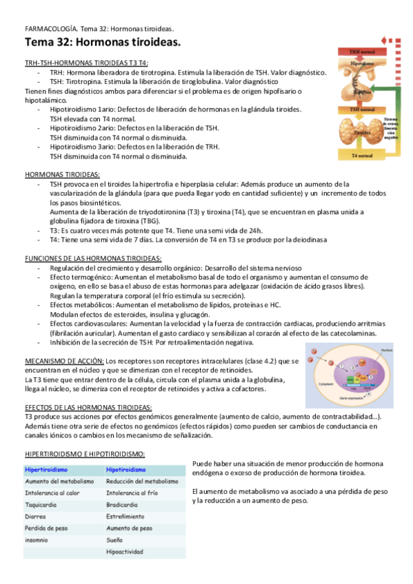 Miniatura del documento Tema-32-Hormonas-tiroideas.pdf