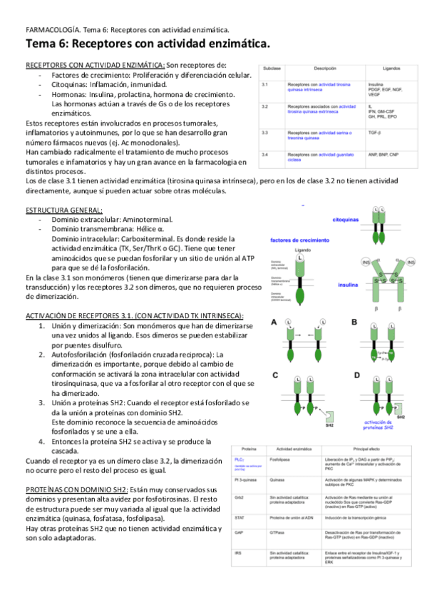 Miniatura del documento Tema-6-Receptores-con-actividad-enzimatica.pdf