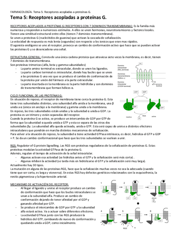 Miniatura del documento Tema-5-Receptores-acoplados-a-prteinas-G.pdf