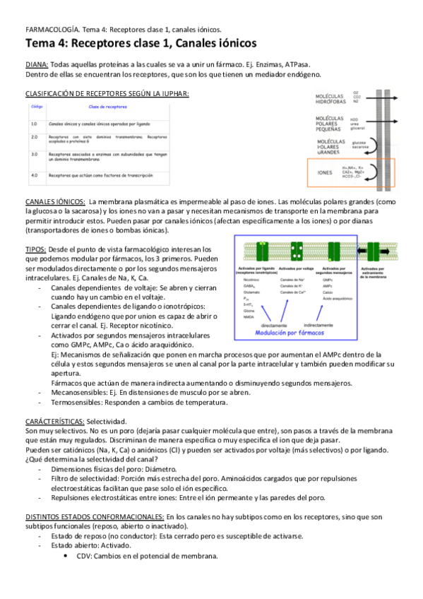 Miniatura del documento Tema-4-Canales-ionicos.pdf