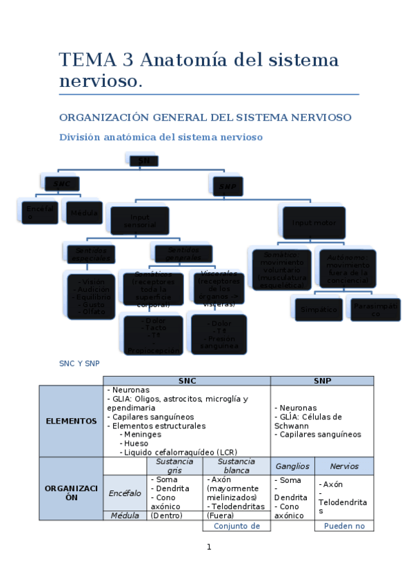 Miniatura del documento TEMA 3 Anatomía del sistema nervioso.docx
