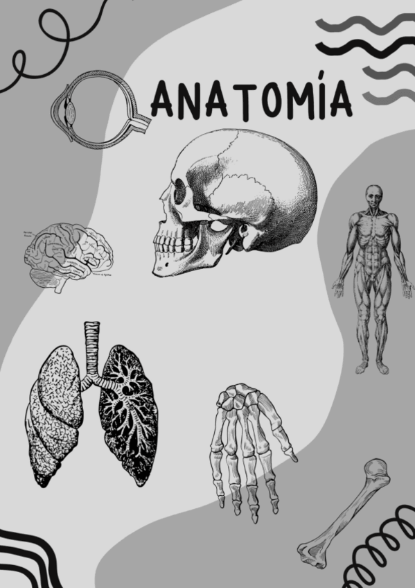 Miniatura del documento T7.-DESARROLLO-DEL-SISTEMA-VISUAL-HUMANO.pdf
