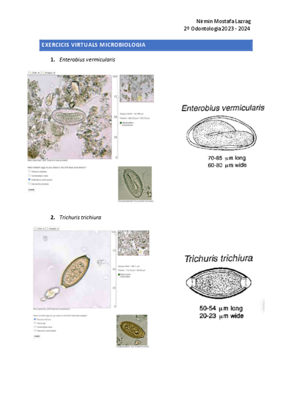 Miniatura del documento TASCA-MICROBIOLOGIA.pdf