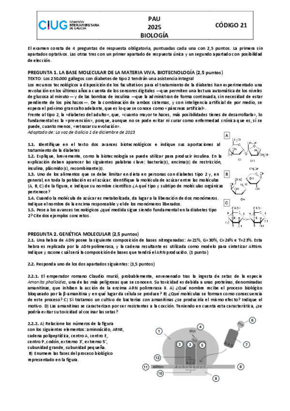 Miniatura del documento modelo-pau-galicia-2025-biologia.pdf