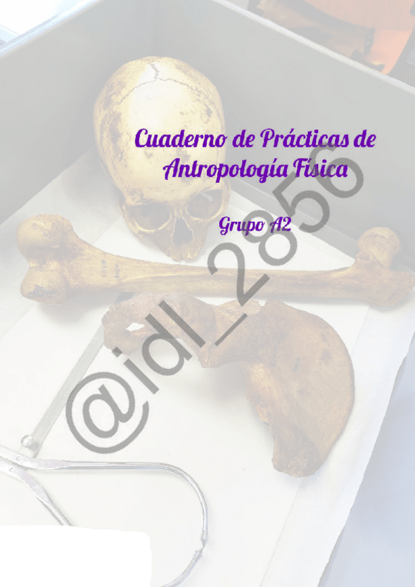 Miniatura del documento Informe-de-Practicas-de-Antropologia.pdf