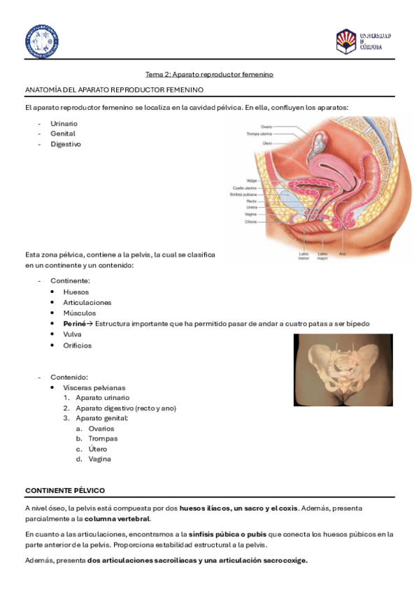 Miniatura del documento Tema-2.pdf