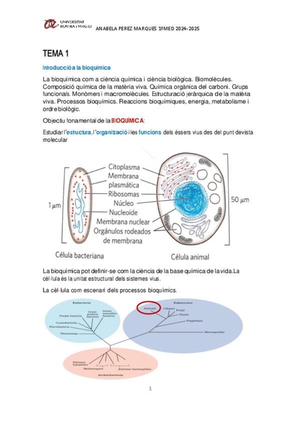Miniatura del documento TEMA-1-DE-BIOQUIMICA.pdf