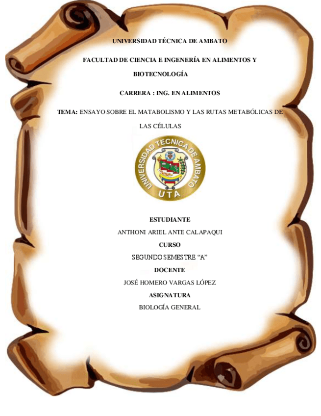 Miniatura del documento Ensayo-metabolismo-y-las-rutas-metabolicas.pdf