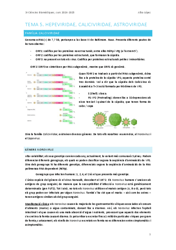 Miniatura del documento Tema-5.-Caliciviridae-astroviridae-i-hepeviridae.pdf