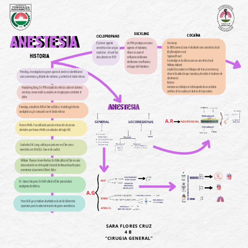 Miniatura del documento Anestesia.pdf