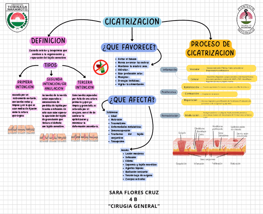 Miniatura del documento Cicatrizacion.pdf