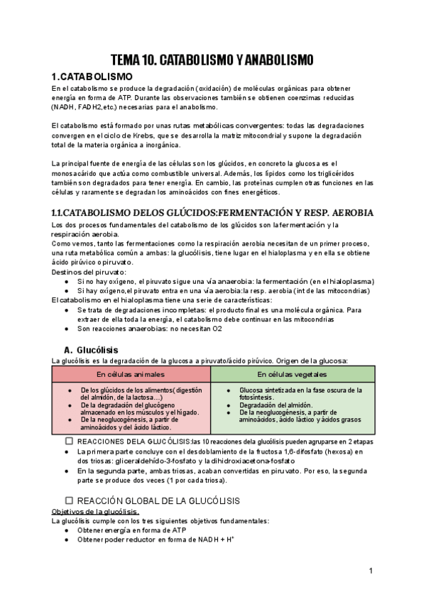 Miniatura del documento TEMA-10-Catabolismo-y-anabolismo.pdf