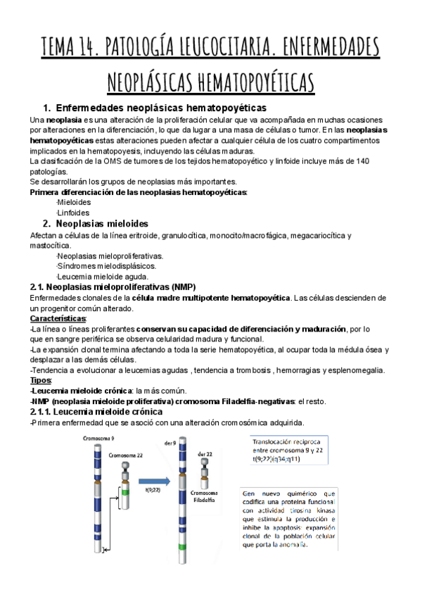 Miniatura del documento TEMA-14.-PATOLOGIA-LEUCOCITARIA.-ENFERMEDADES-NEOPLASICAS-HEMATOPOYETICAS.pdf