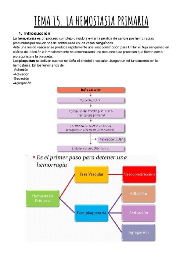 Miniatura del documento TEMA-15.-LA-HEMOSTASIA-PRIMARIA.pdf