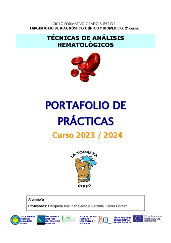 Miniatura del documento PORTFOLIOHEMA.pdf