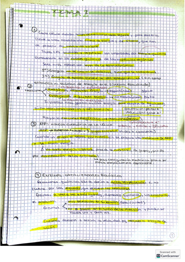 Miniatura del documento tema-2-biologia.pdf