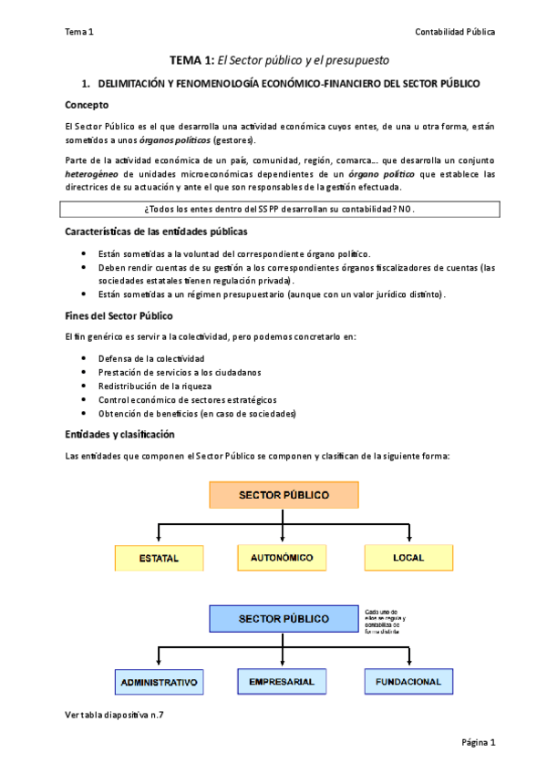 Miniatura del documento Tema-1-Contabilidad-Publica.pdf
