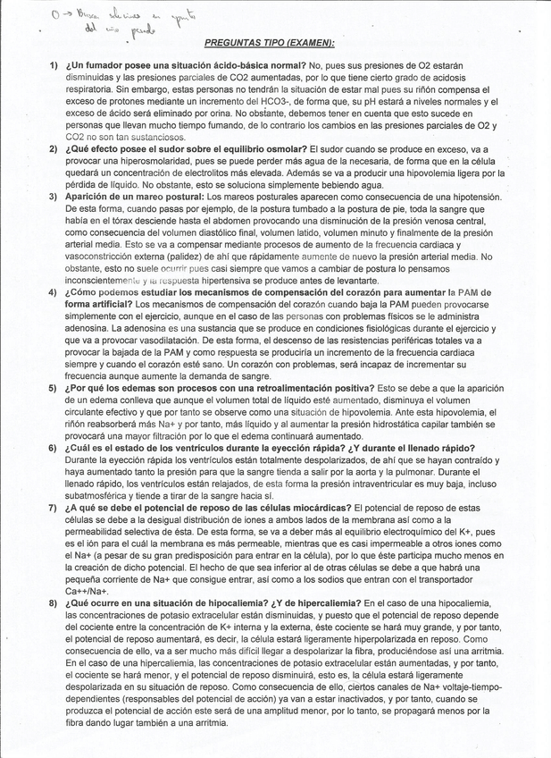 Miniatura del documento Pag 1.jpg