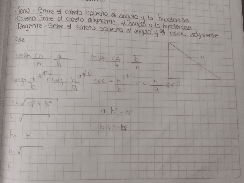 Miniatura del documento 17282288100196455985761018685434.jpg